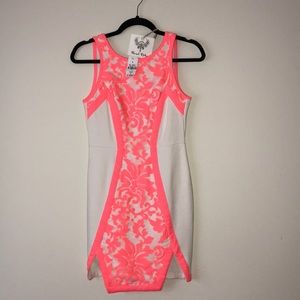 Angel Biba mini dress.  Size 8.